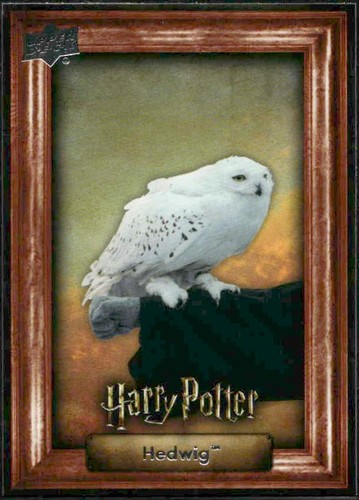 Years magic harry potter - harry,